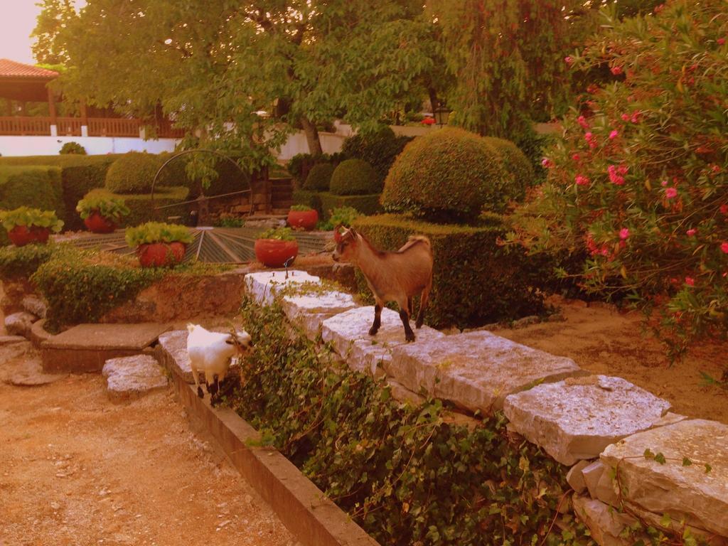 Otium Country House Alvorge Extérieur photo