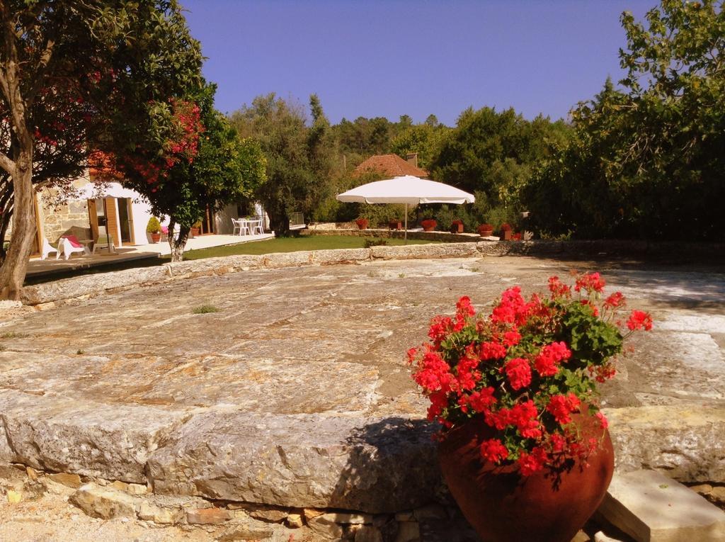 Otium Country House Alvorge Extérieur photo
